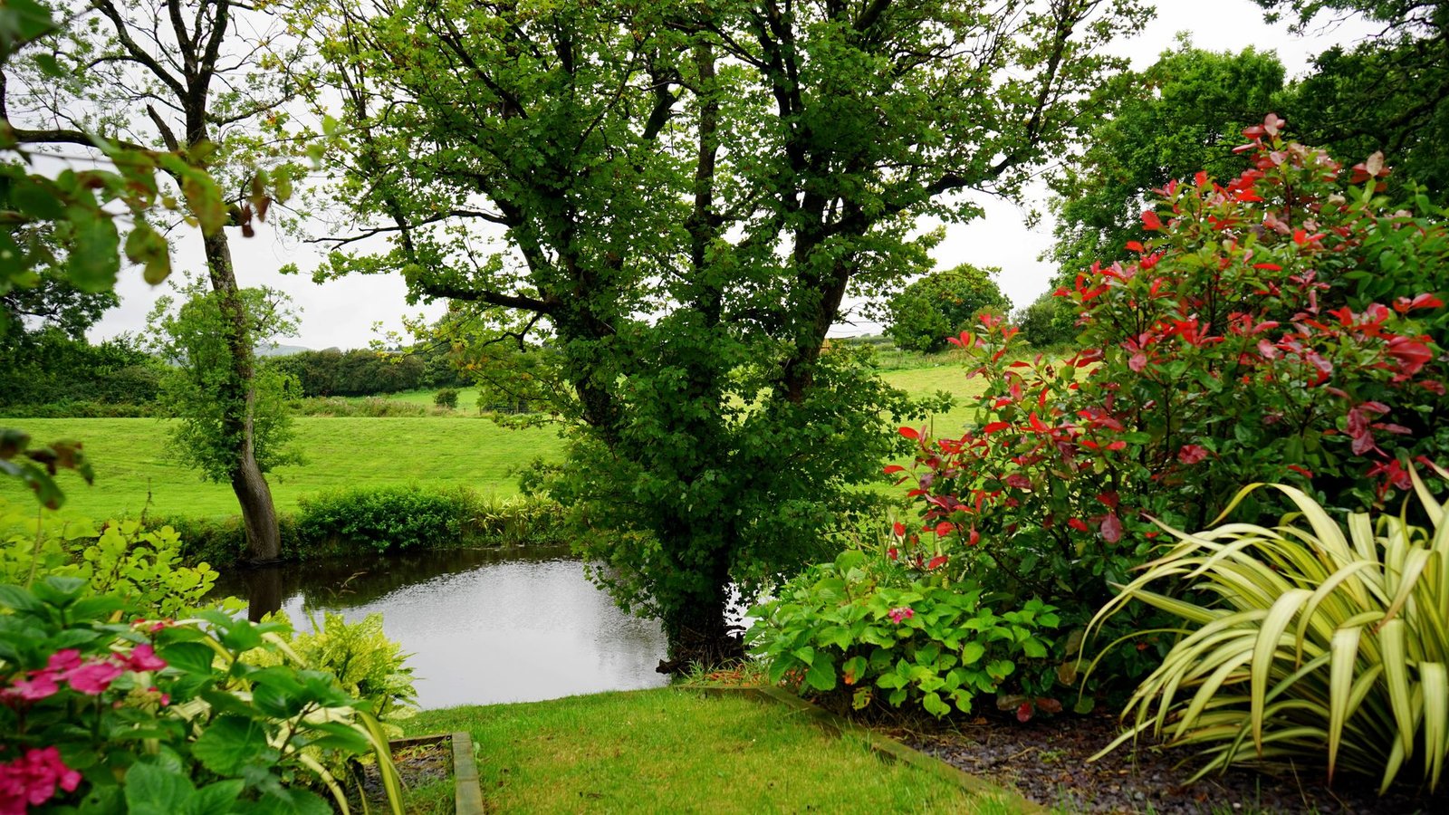 Lawn and flowering borders beside a garden pond