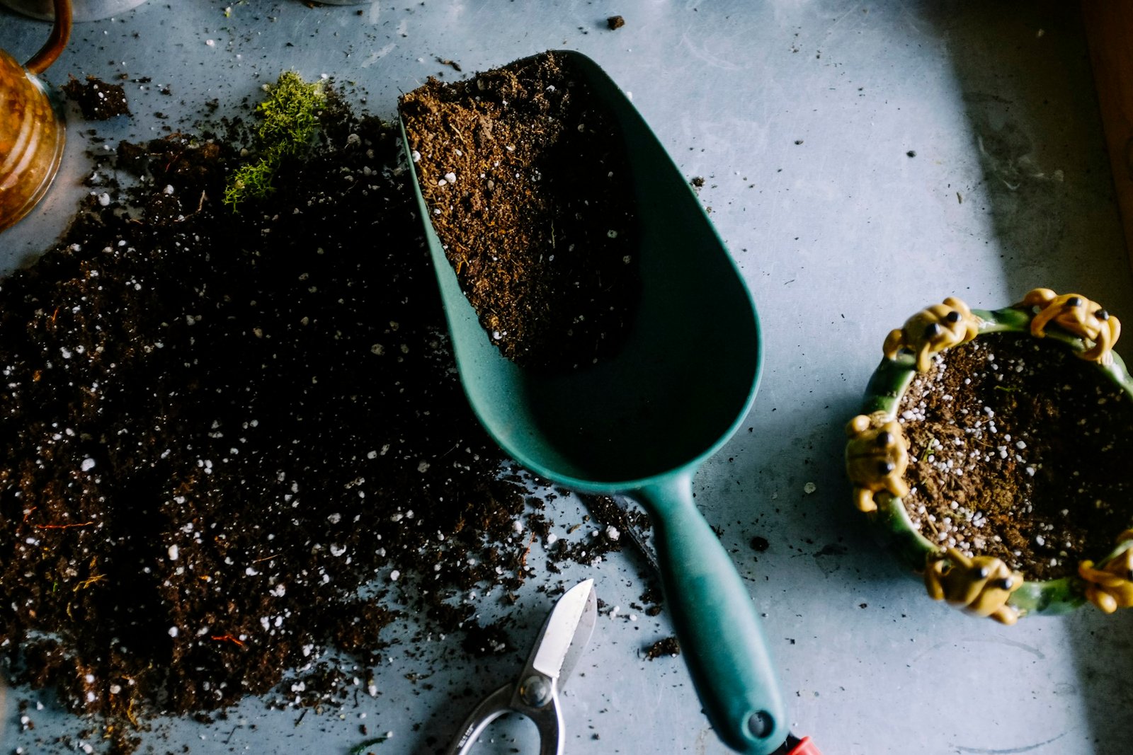 Hands caring for garden plants