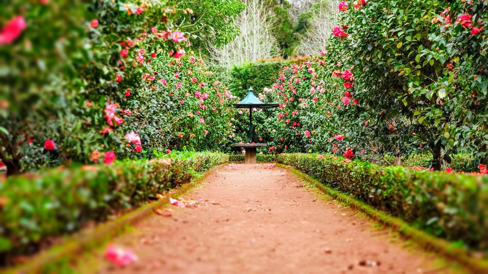 Landscaped garden paths